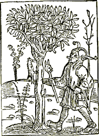 Holzschnitt
