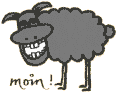 Schaf
